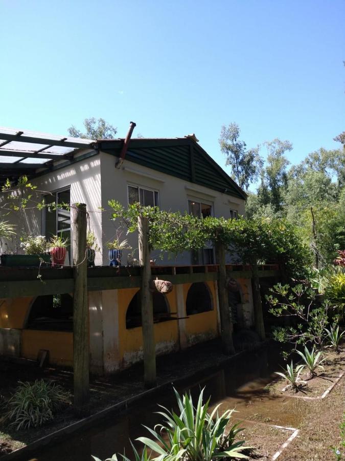 Cabanas Isla San Jose Tigre Kamer foto